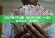 买世界杯彩票赚钱-买世界杯彩票，一场风险与机遇并存的冒险