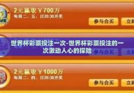 世界杯彩票投注一次-世界杯彩票投注的一次激动人心的探险