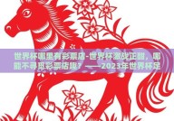 世界杯哪里有彩票店-世界杯激战正酣，哪能不寻觅彩票店趣？——2023年世界杯足球赛