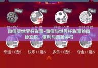 微信买世界杯彩票-微信与世界杯彩票的微妙交织，便利与风险并行