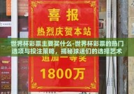 世界杯彩票主要买什么-世界杯彩票的热门选项与投注策略，揭秘球迷们的选择艺术