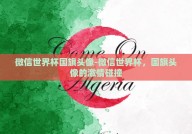 微信世界杯国旗头像-微信世界杯，国旗头像的激情碰撞