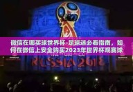微信在哪买球世界杯-足球迷必看指南，如何在微信上安全购买2023年世界杯观赛球赛