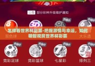 怎样看世界杯彩票-把握激情与幸运，如何明智观赏世界杯彩票