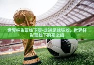 世界杯彩票线下买-走进足球狂欢，世界杯彩票线下购买之旅
