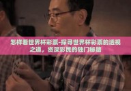 怎样看世界杯彩票-探寻世界杯彩票的透视之道，资深彩民的独门秘籍