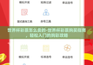 世界杯彩票怎么卖的-世界杯彩票购买指南，轻松入门的购彩攻略