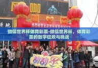 微信世界杯体育彩票-微信世界杯，体育彩票的数字狂欢与挑战