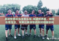 足球世界杯压注怎么压-足球世界杯，如何合理压注，享受比赛激情的同时稳健获利