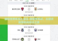微信世界杯怎么投注-微信世界杯，从初识到掌舵的投注之旅