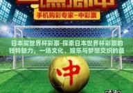 日本买世界杯彩票-探索日本世界杯彩票的独特魅力，一场文化、娱乐与梦想交织的盛宴