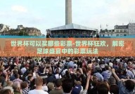 世界杯可以买那些彩票-世界杯狂欢，解密足球盛宴中的彩票玩法