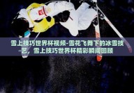 雪上技巧世界杯视频-雪花飞舞下的冰雪技艺，雪上技巧世界杯精彩瞬间回顾
