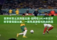 世界杯怎么玩竞猜比赛-如何在2024年世界杯享受竞猜比赛，一场充满激情与挑战的足球盛宴