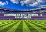 足球世界杯比赛场地大小-足球世界杯，揭开场地尺寸的奥秘