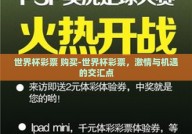 世界杯彩票 购买-世界杯彩票，激情与机遇的交汇点