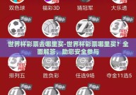 世界杯彩票去哪里买-世界杯彩票哪里买？全面解答，助您安全参与