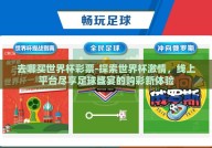 去哪买世界杯彩票-探索世界杯激情，线上平台尽享足球盛宴的购彩新体验