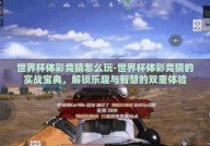 世界杯体彩竞猜怎么玩-世界杯体彩竞猜的实战宝典，解锁乐趣与智慧的双重体验