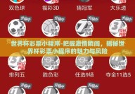 世界杯彩票小程序-把握激情瞬间，揭秘世界杯彩票小程序的魅力与风险
