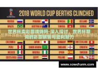 世界杯卖彩票赚钱吗-深入探讨，世界杯期间的彩票销售与盈利潜力
