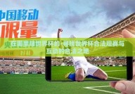 在哪里赌世界杯的-寻找世界杯合法观赛与互动的合法之地