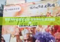 买世界杯彩票怎么买-买世界杯彩票正确指南
