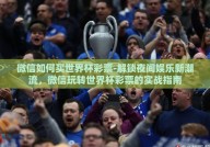 微信如何买世界杯彩票-解锁夜间娱乐新潮流，微信玩转世界杯彩票的实战指南