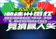 世界杯竞猜在哪里购买-尽情预测，尽享荣耀，揭秘世界杯竞猜购买渠道探微
