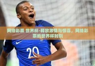 网络彩票 世界杯-释放激情与惊喜，网络彩票的世界杯时刻