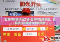 世界杯彩票投注方式-世界杯足球彩票，多样化投注策略的全面指南