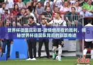 世界杯德国赢彩票-激情燃尽夜的胜利，揭秘世界杯德国队背后的彩票奇迹