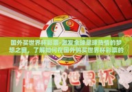 国外买世界杯彩票-激发全球足球热情的梦想之窗，了解如何在国外购买世界杯彩票的乐趣与注意事项
