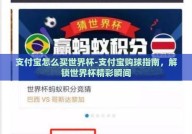 支付宝怎么买世界杯-支付宝购球指南，解锁世界杯精彩瞬间