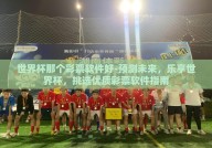 世界杯那个彩票软件好-预测未来，乐享世界杯，挑选优质彩票软件指南