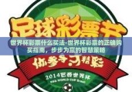 世界杯彩票什么买法-世界杯彩票的正确购买指南，步步为赢的智慧策略