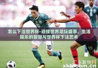 怎么下注世界杯-迎接世界足坛盛事，生活娱乐的智慧与世界杯下注艺术