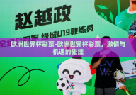 欧洲世界杯彩票-欧洲世界杯彩票，激情与机遇的碰撞