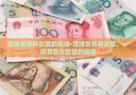 足球世界杯彩票的玩法-足球世界杯彩票，一场激情与智慧的碰撞