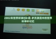2002年世界杯体∏彩票-岁月激流中的世界杯体彩记忆