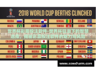 世界杯彩票投注软件-世界杯狂潮下的智慧选择，揭秘彩票投注软件的魅力与风险