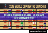 怎么赌世界杯在哪里买-揭秘，在何处合法与智慧地投注世界杯