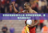世界杯足球彩票不让买-世界杯足球观赛，理性与责任同行