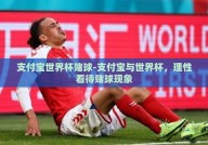 支付宝世界杯赌球-支付宝与世界杯，理性看待赌球现象