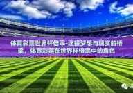 体育彩票世界杯倍率-连接梦想与现实的桥梁，体育彩票在世界杯倍率中的角色