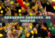 在那里赌世界杯的-在那里赌世界杯，激情与风险的交织