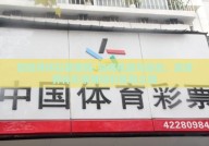 买世界杯彩票赚钱-领略机遇与挑战，买世界杯彩票赚钱的智慧之路