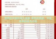 世界杯中奖彩票大金额-世界杯奇迹，中奖彩票的非凡之旅
