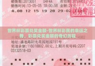 世界杯彩票兑奖金额-世界杯彩民的幸运之舞，彩票兑奖金额的奇幻历程