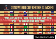 世界杯彩票查询-全球足球盛事背后的幸运之窗，世界杯彩票查询全攻略